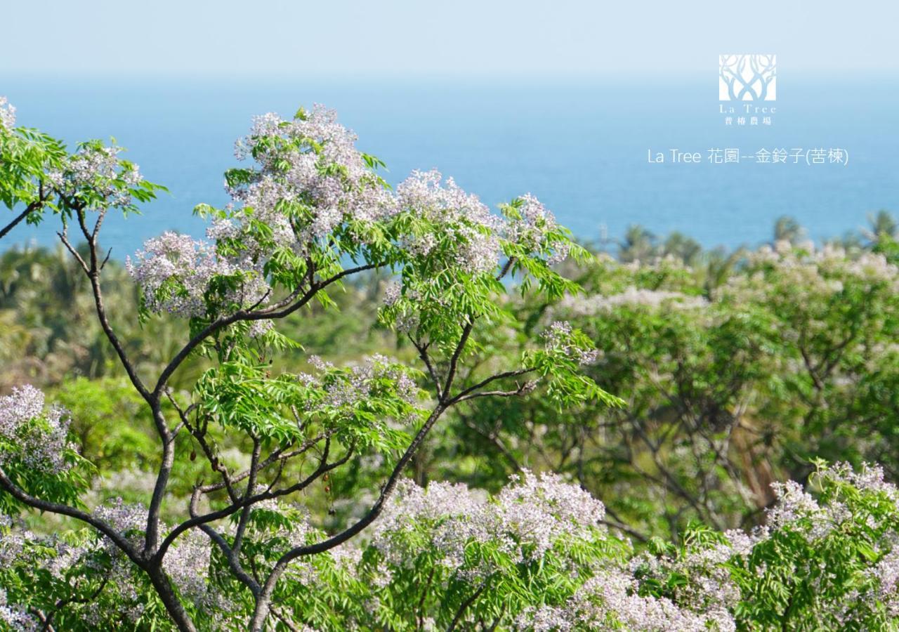 La Tree 普椿農場木子莊園 Lejlighed Donghe Eksteriør billede