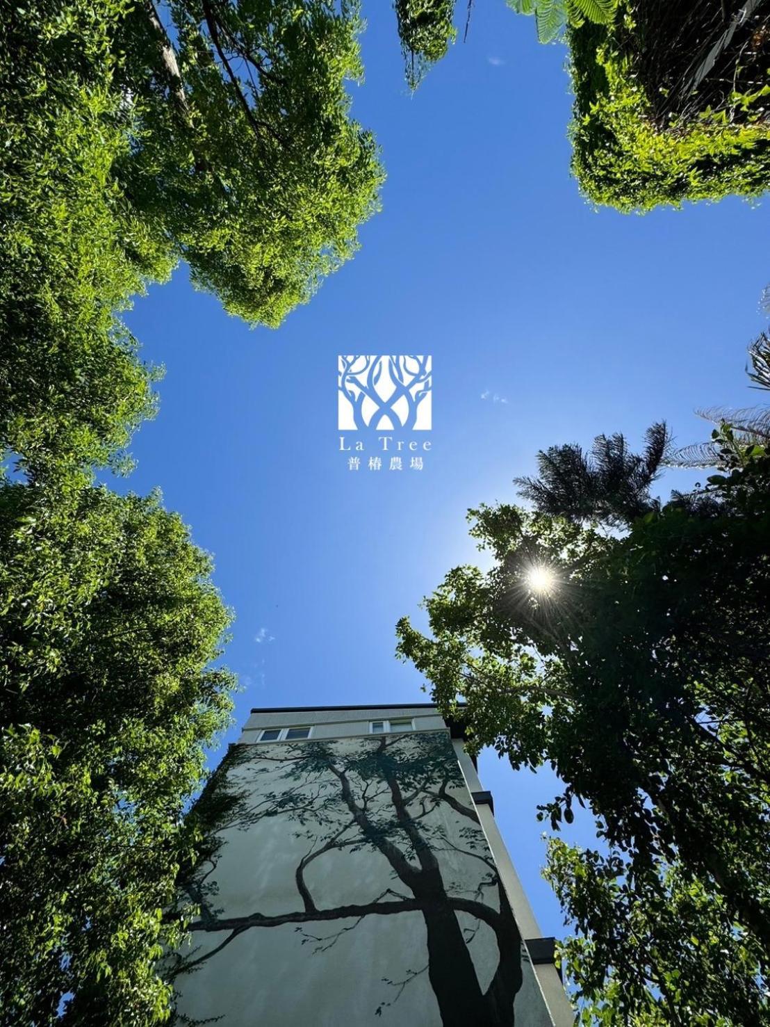 La Tree 普椿農場木子莊園 Lejlighed Donghe Eksteriør billede